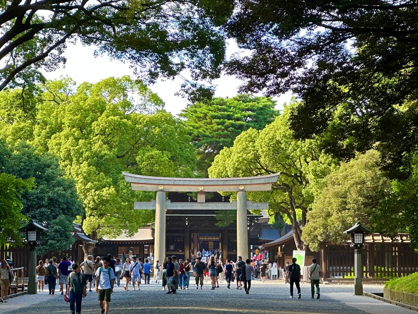 Tokyo: Meiji Jingu Shrine and Shinto Culture Walking Tour - Wheelchair accessible and easy to follow: what that means on the ground