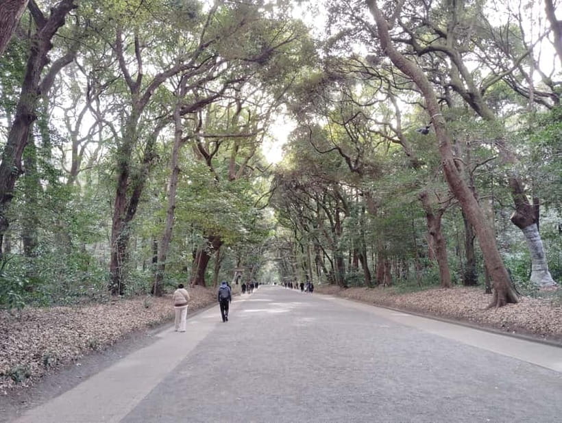 Tokyo: Meiji Jingu Shrine & Inner Garden Guided Tour (2h) - Omikuji, Fortune-Telling, and the Optional Protective Charm