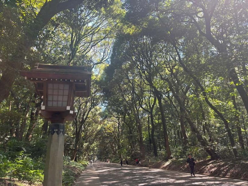 Tokyo: Meiji Jingu, Yoyogi Park & Takeshita Street Tour - Key things that make this tour worth your time