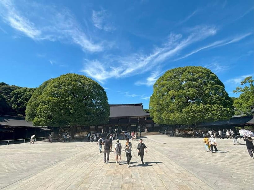 Tokyo: Meiji Jingu, Yoyogi Park & Takeshita Street Tour - Takeshita Street: youth fashion, fun chaos, and smart guidance