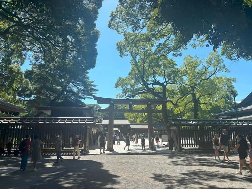 Tokyo: Meiji Jingu, Yoyogi Park & Takeshita Street Tour - Should you book this Tokyo tour?