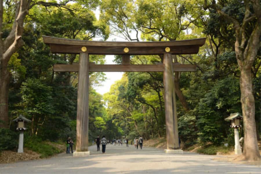 Tokyo: Meiji Shrine Walking Tour with Local Guide - Hidden corners in the sacred forest: look for what your guide points at