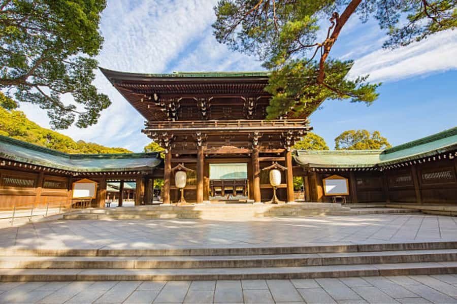 Tokyo: Meiji Shrine Walking Tour with Local Guide - The back-of-the-hall sights: turtle stone and sazare stone explained