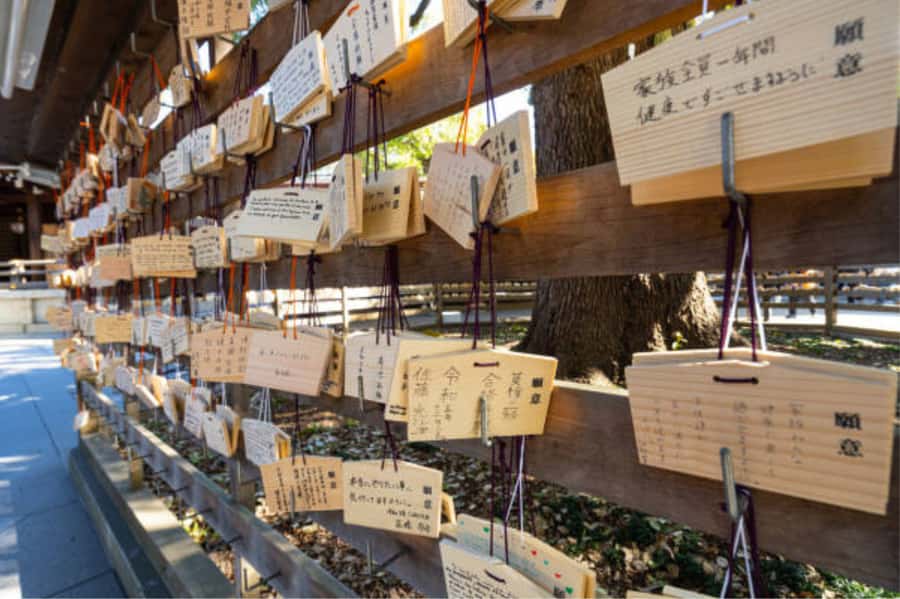 Tokyo: Meiji Shrine Walking Tour with Local Guide - Is $20 worth it? What you’re really buying