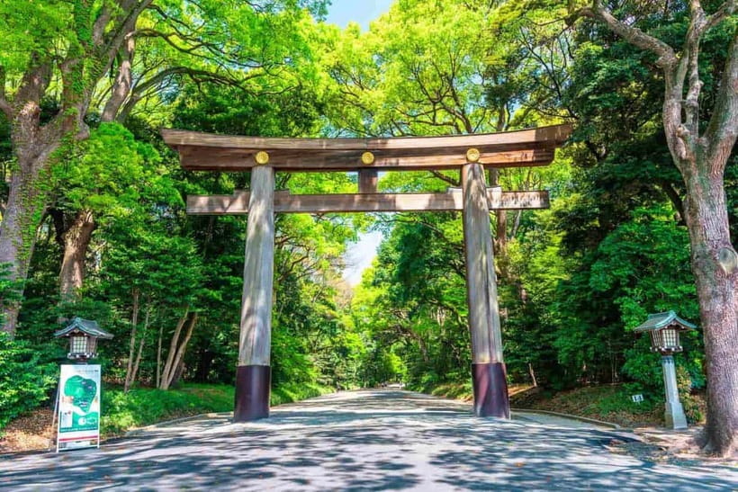 Tokyo Morning Tour: Meiji Shrine, Asakusa & Fish Market - A Good Morning Plan: Timing, Route, and What You’re Really Buying