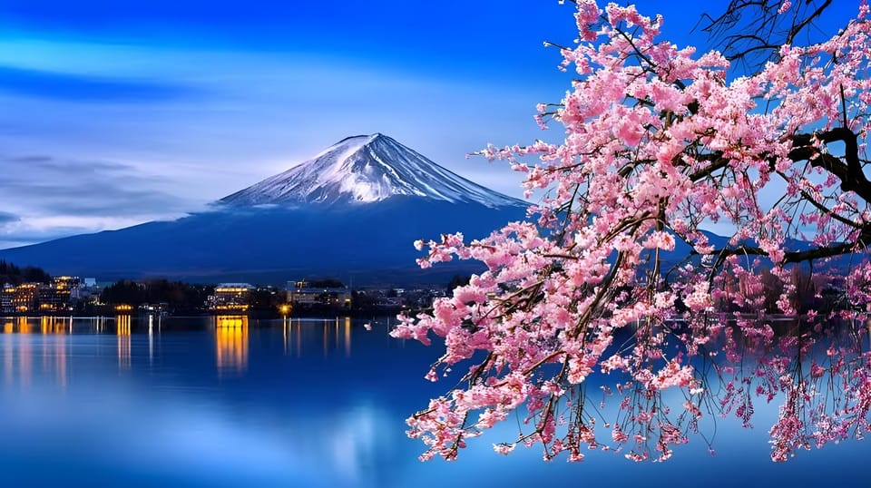 Tokyo: Mount Fuji and Hakone private sightseeing tour - Key highlights you’ll actually feel during the day