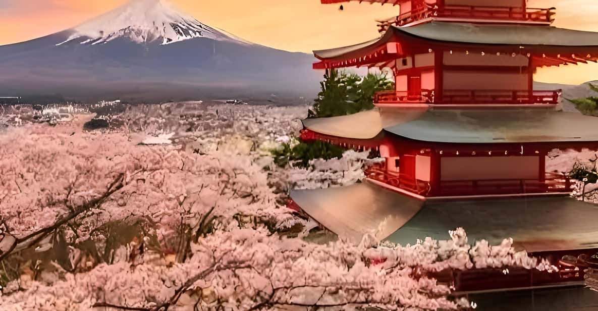 Tokyo: Mount Fuji and Hakone private sightseeing tour - How the guide experience changes the trip