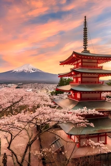 Tokyo: Mount Fuji and Hakone private sightseeing tour - Lake Kawaguchi and the Fuji Five Lakes feel in one hour