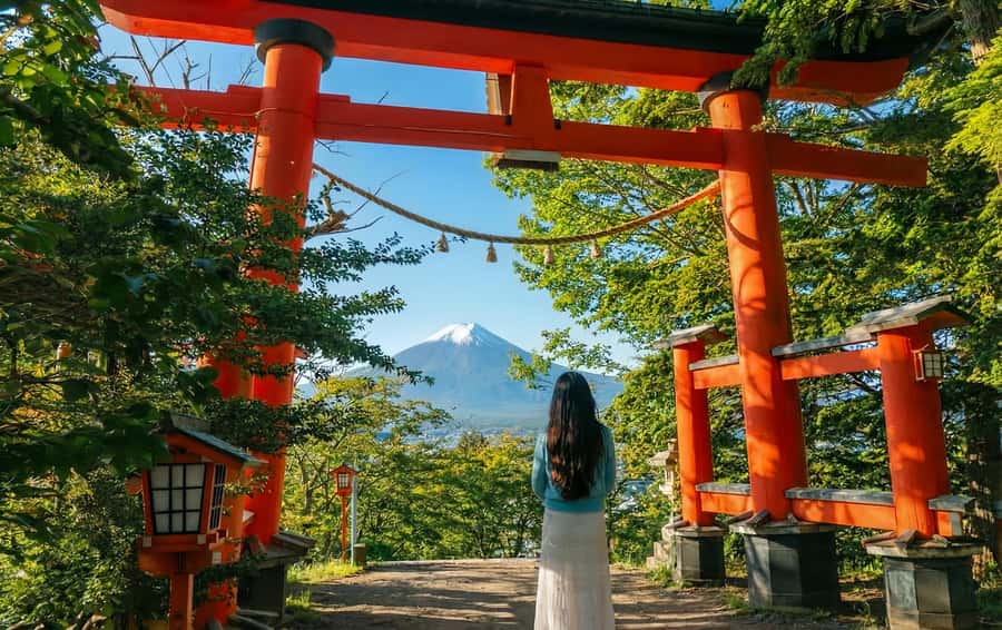 Tokyo: Mount Fuji Day Trip with Scenic & Local Stops - Niikurayama Asama Park: your first panoramic Fuji moment