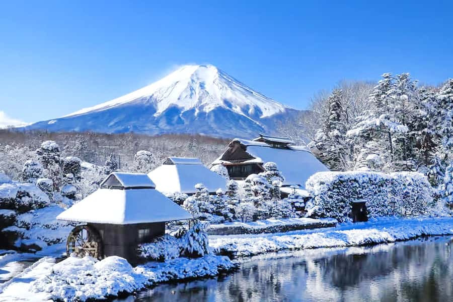 Tokyo: Mount Fuji Day Trip with Scenic & Local Stops - Hikawa Clock Shop: the retro facade shot you’ll actually nail