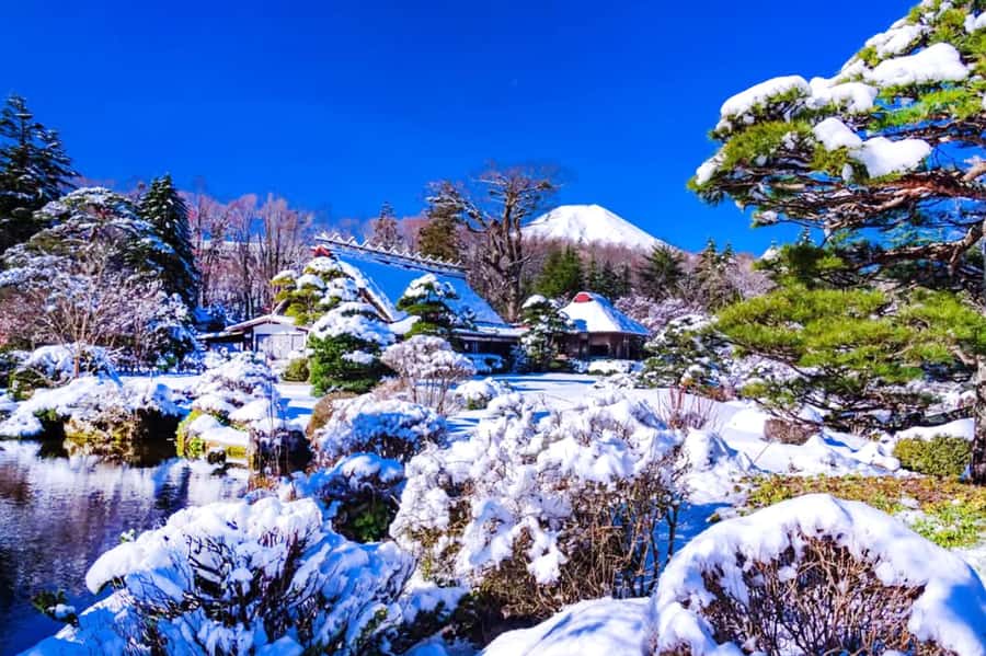 Tokyo: Mount Fuji Day Trip with Scenic & Local Stops - Oshino Hakkai: UNESCO springs, koi ponds, and a slower stroll