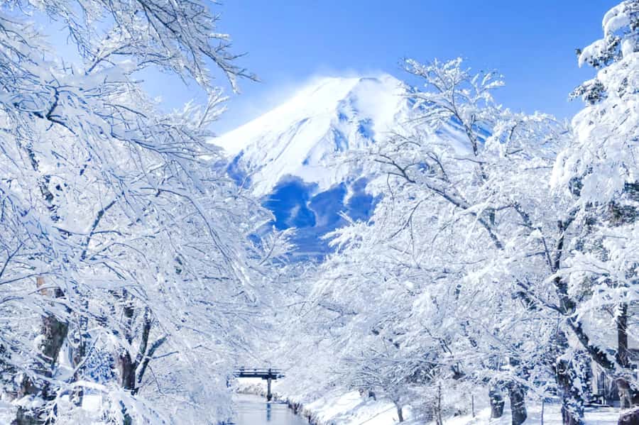 Tokyo: Mount Fuji Day Trip with Scenic & Local Stops - Lake Kawaguchi: the mirror-reflection Fuji target