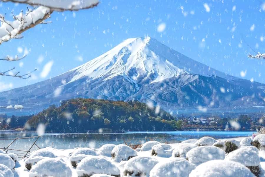 Tokyo: Mount Fuji Day Trip with Scenic & Local Stops - Fuji Lawson Store: branded photos, Fuji-limited snacks