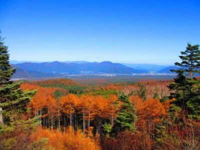 Tokyo: Mount Fuji, Gotemba & Hakone Day Trip by Luxury Bus - Ropeway to Owakudani: Black Eggs and Earth-Heat Views