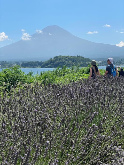 Tokyo: Mount fuji & Hakone Private Day Tour - Arakurayama Sengen Park and the Chureito Pagoda: the classic Fuji postcard shot