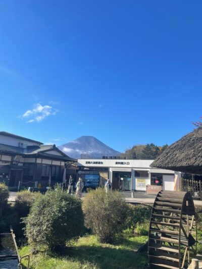 Tokyo: Mount fuji & Hakone Private Day Tour - Getting from Tokyo with hotel pickup (and not losing your morning)