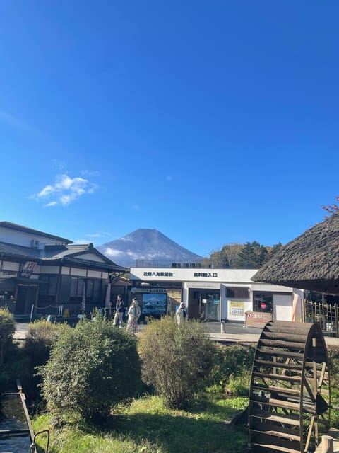 Tokyo: Mount fuji & Hakone Private Day Tour - Getting from Tokyo with hotel pickup (and not losing your morning)