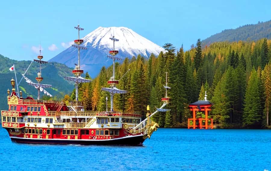 Tokyo: Mount Fuji Views and KABA Amphibious Bus Day Tour - Yamanaka Lake: the main decision point (KABA bus vs Shiratori swans)