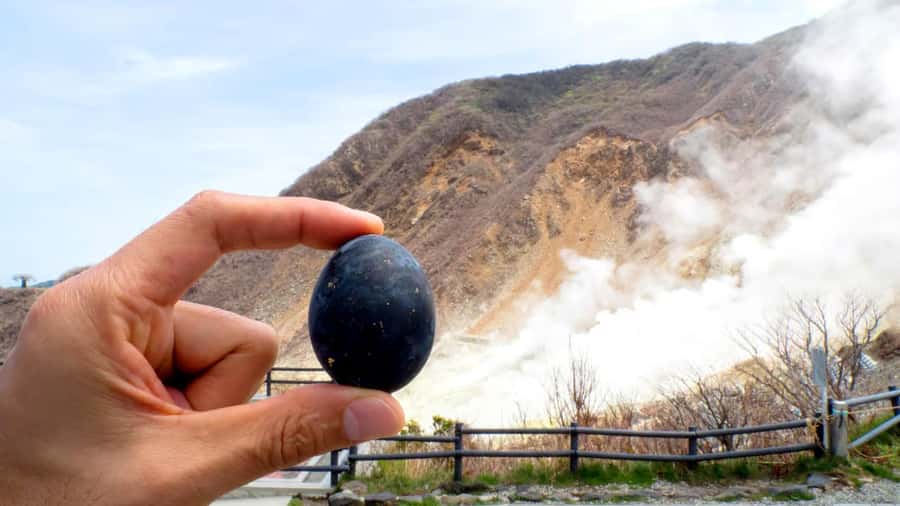 Tokyo: Mount Fuji Views and KABA Amphibious Bus Day Tour - Guide energy: why Agnes and Lin-san made the day feel lighter