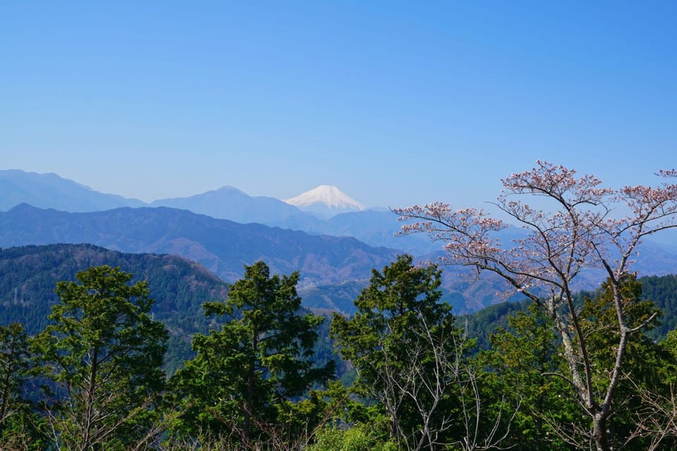 Tokyo: Mount Takao Guided Hiking Tour - Cable car to halfway: save energy, keep the momentum