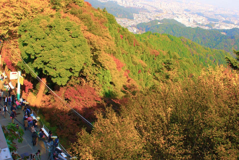 Tokyo: Mount Takao Guided Hiking Tour - Hike to the summit, then Monkey Park: close-up macaques