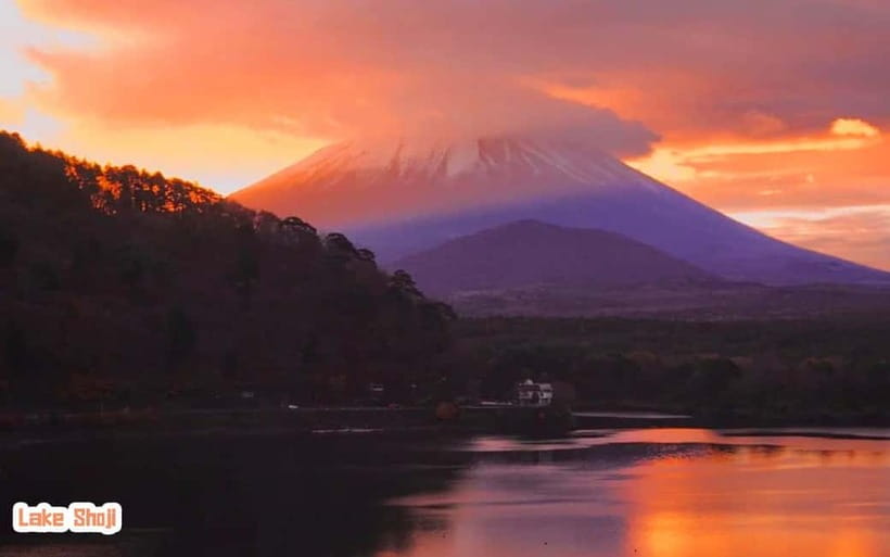 Tokyo: Mt Fuji 3 Lakes Day Trip | 9-Guest Small Group - Tips to make the day smoother (and less tiring)