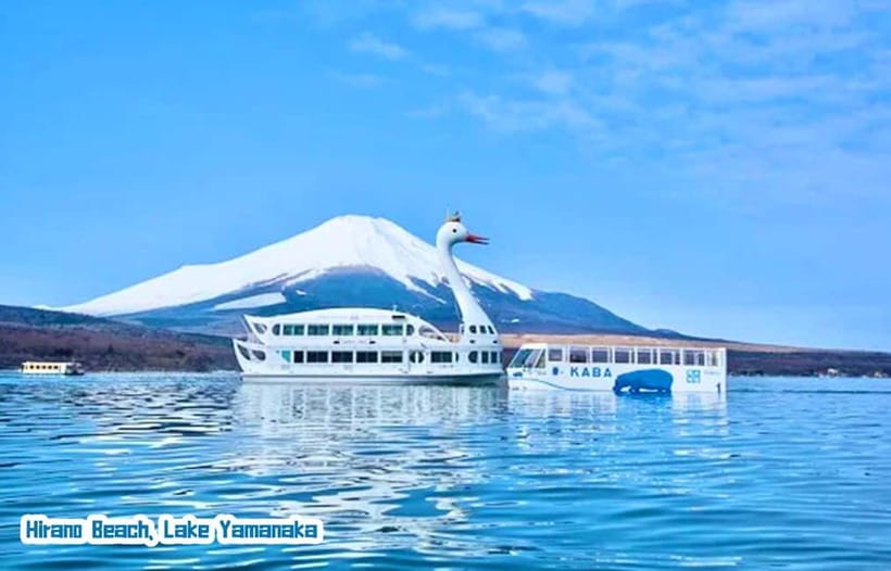 Tokyo: Mt Fuji 3 Lakes Day Trip | 9-Guest Small Group - Lake Kawaguchi choices: cruise, ropeway, music museum, and more