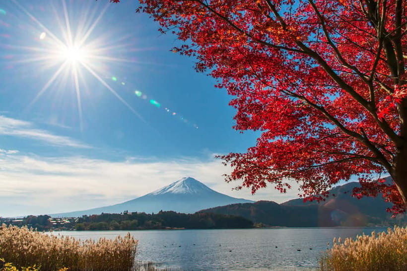 Tokyo: Mt. Fuji 5th St. & Hakushu Distillery Whisky Museum - Timing and pacing: why this day feels intense but efficient
