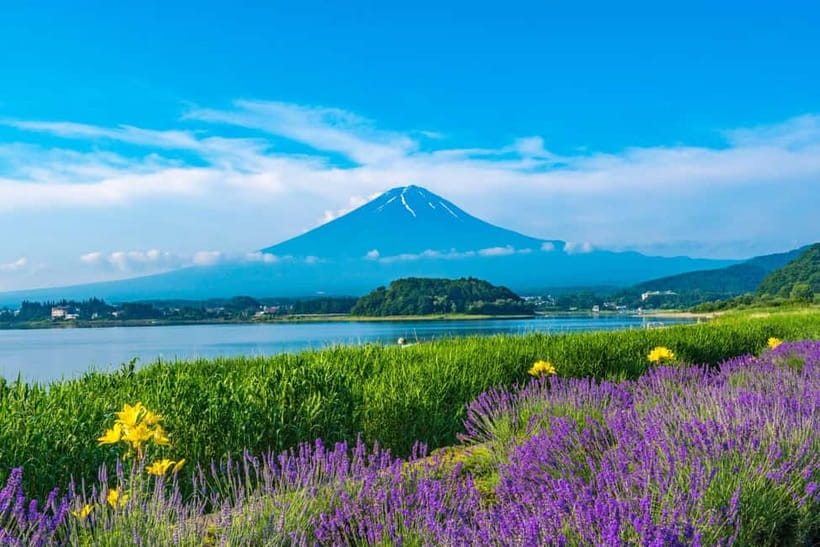 Tokyo: Mt. Fuji 5th St. & Hakushu Distillery Whisky Museum - Food and shopping: plan for pay-as-you-go meals