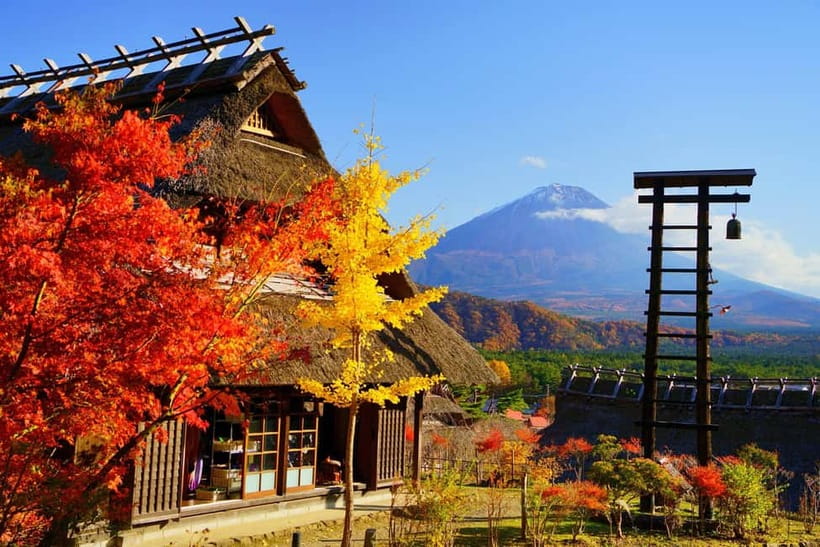 Tokyo: Mt. Fuji, Arakurayama Sengen Park, Oshino Hakkai Tour - Fuji Views From Shinjuku: What Your Long Day Feels Like