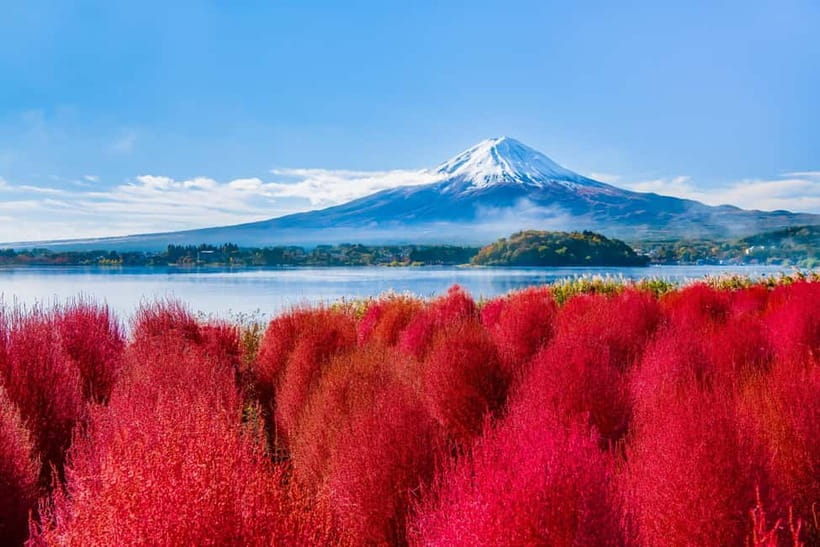 Tokyo: Mt. Fuji, Arakurayama Sengen Park, Oshino Hakkai Tour - Arakurayama Sengen Park and the Pagoda-Fuji Photo Moment