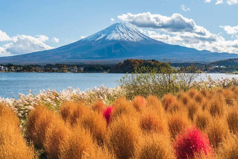 Tokyo: Mt. Fuji, Arakurayama Sengen Park, Oshino Hakkai Tour - Fujiyoshida Honcho Street: The Culture Pause Between Views