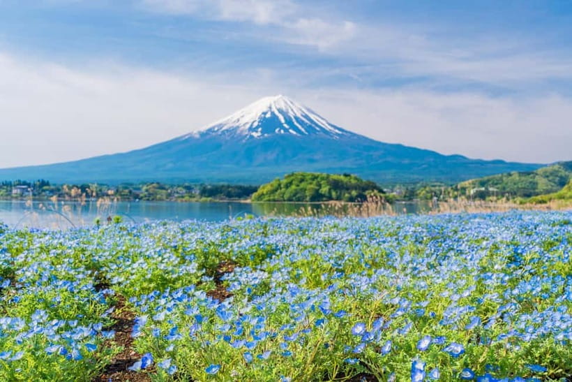 Tokyo: Mt. Fuji, Arakurayama Sengen Park, Oshino Hakkai Tour - Getting the Most Out of Free Time (Without Burning Out)
