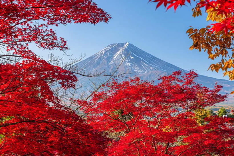 Tokyo: Mt. Fuji, Arakurayama Sengen Park, Oshino Hakkai Tour - Hikawa Clock Shop: The Convenient Detour for Small Souvenirs