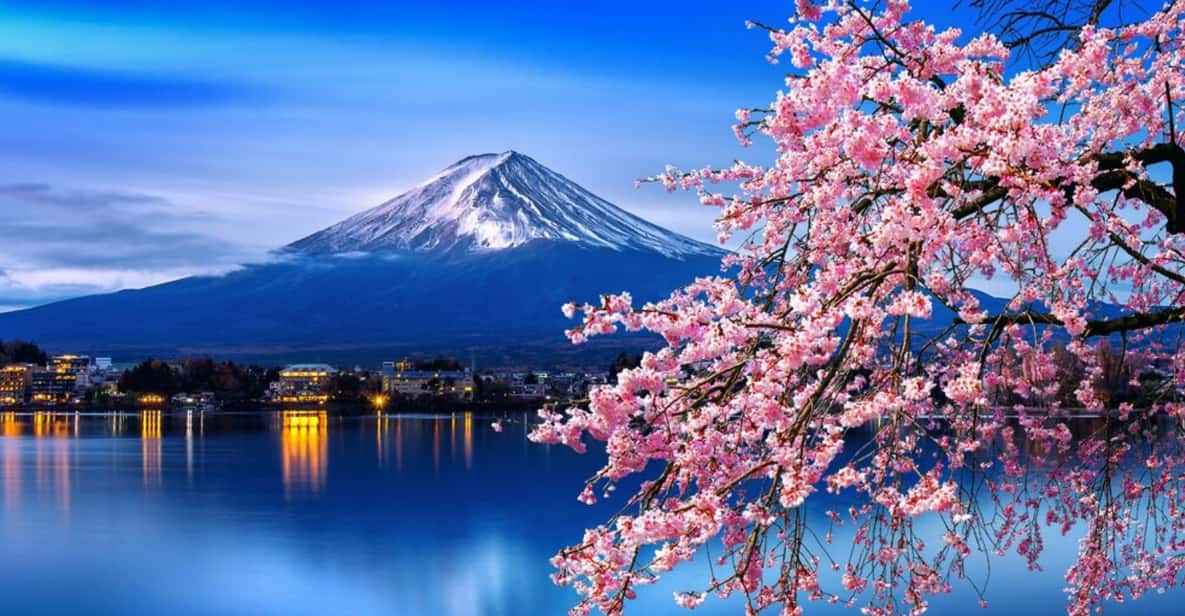 Tokyo: Mt. Fuji & Hakone Cherry Blossoms Private Day Tour - Key Things That Make This Tour Worth a Look