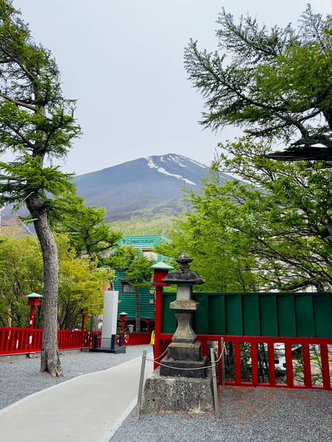 Tokyo: Mt. Fuji & Hakone Cherry Blossoms Private Day Tour - Chureito Pagoda and the Cherry Blossom Walk: Classic Fuji Photos