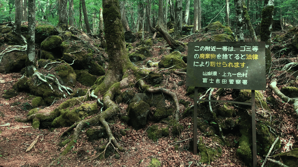 Tokyo: Mt. Fuji Hidden Gems and Aokigahara Forest Tour - Key Things That Make This Tour Worth Your Time