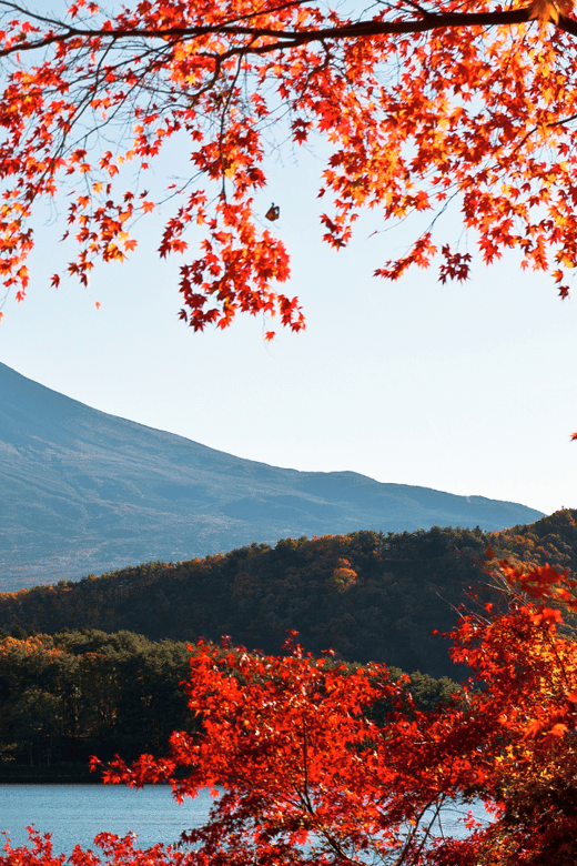 Tokyo: Mt. Fuji Hidden Gems and Aokigahara Forest Tour - Saiko Nenba-hama for Quiet Pause and Easy Lunch Breaks