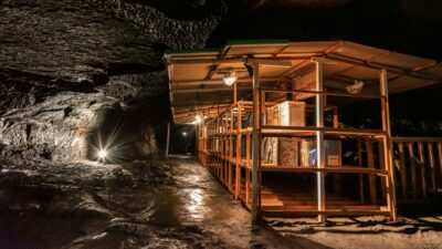Tokyo: Mt. Fuji Hidden Gems and Aokigahara Forest Tour - Oishi Park and Lake Kawaguchi: Seasonal Flowers With Fuji Framing