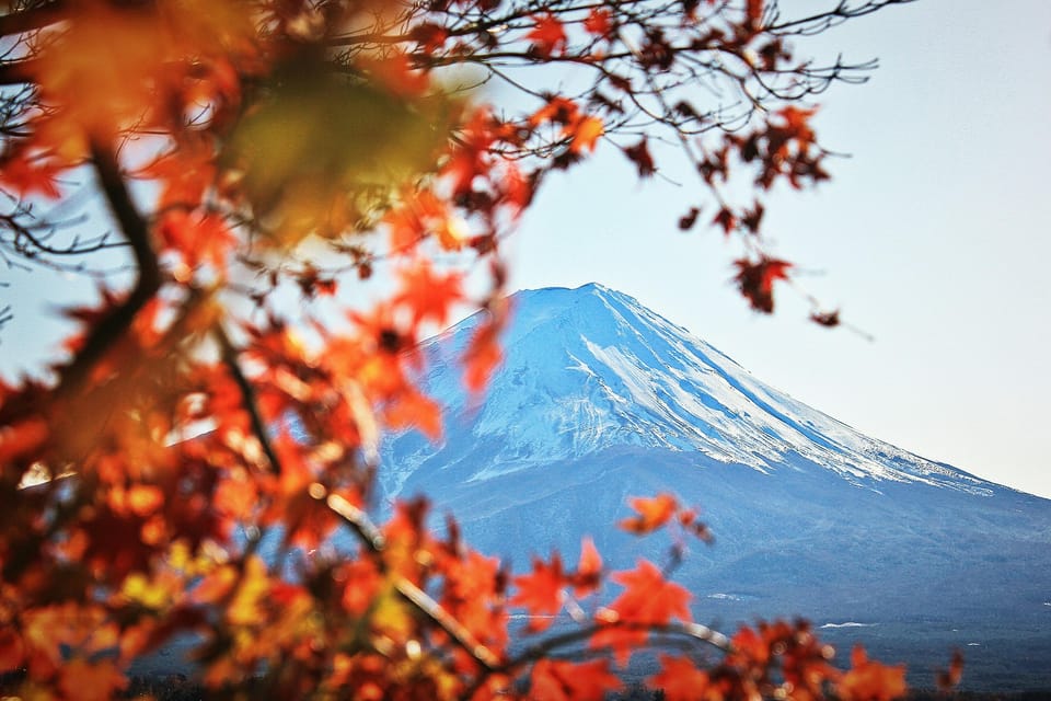 Tokyo: Mt. Fuji Hidden Gems and Aokigahara Forest Tour - Tatego-Hama Beach on Lake Motosuko: Calm Water and Clear Views