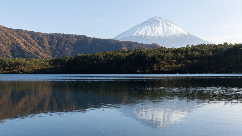 Tokyo: Mt. Fuji Hidden Gems and Aokigahara Forest Tour - Tickets, Food, and Timing: Make It Feel Like a Day Out, Not a Check List