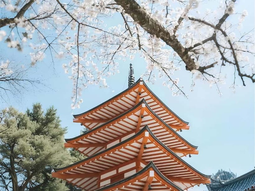 Tokyo: Mt. Fuji & Lake Kawaguchi Instagram Full Day Trip - Should you book this Mt. Fuji & Lake Kawaguchi trip?
