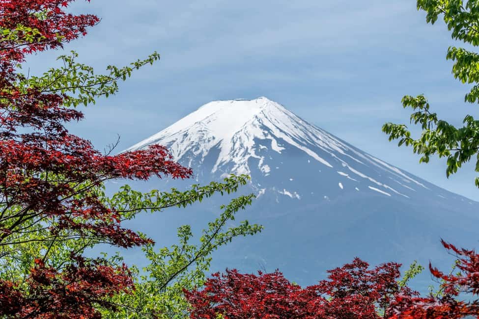 Tokyo: Mt. Fuji & Lake Kawaguchi Private Tour with Transfer - Oshino Hakkai Waterways and Fuji Shrines That Make the Day Feel Like More Than Sightseeing