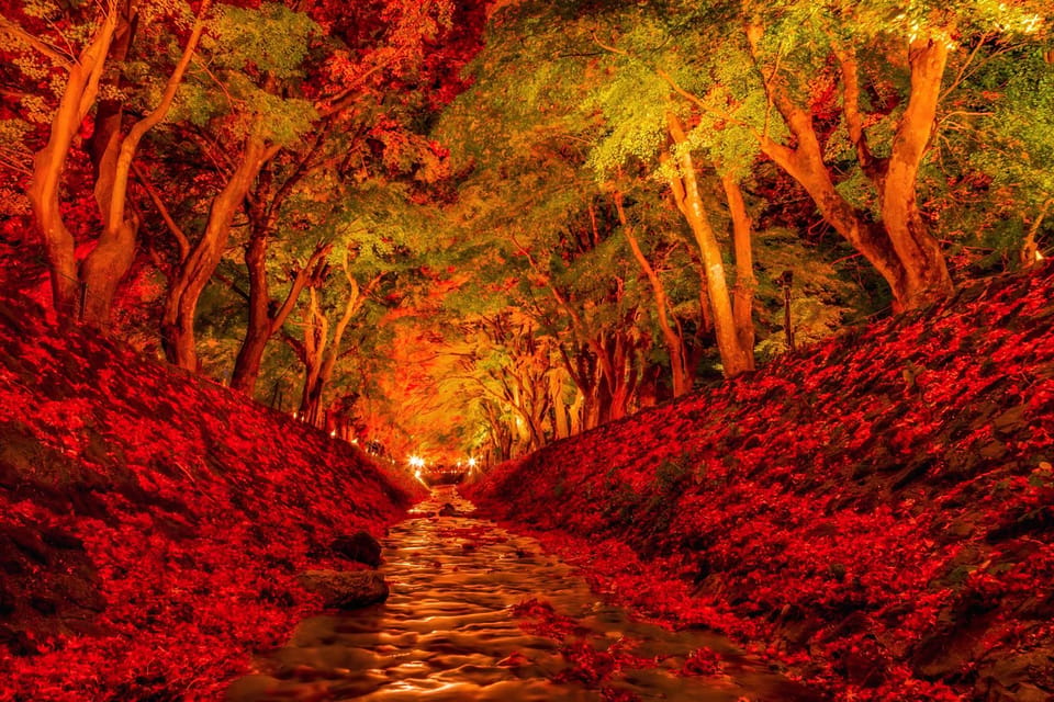 Tokyo: Mt Fuji Lake Kawaguchiko Tour & Arakuyama Sengen Park - Pace, group size, and what to pack for a 10-hour day