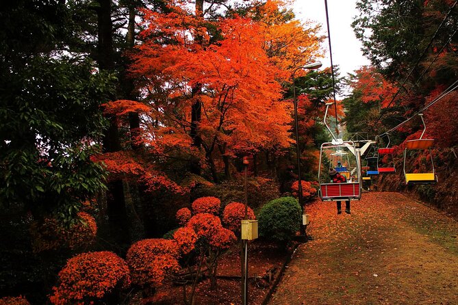 Tokyo: Mt. Takao Tour with Ramen and Tattoo-Okay Hot Spring - Key highlights worth clocking