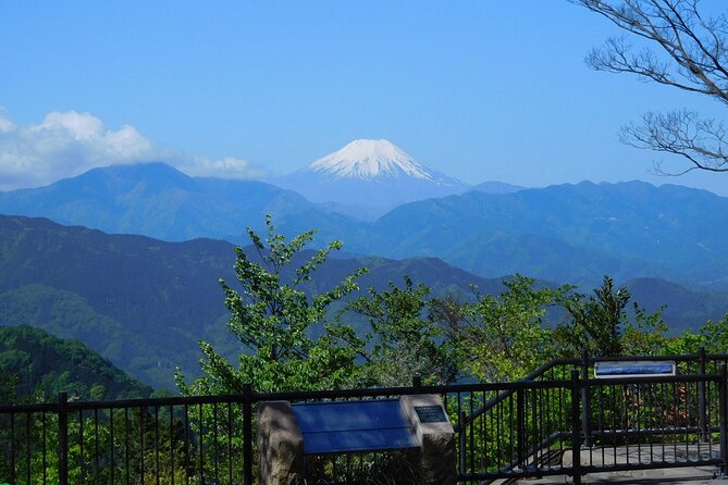 Tokyo: Mt. Takao Tour with Ramen and Tattoo-Okay Hot Spring - Value check: what $120 buys on Mt. Takao