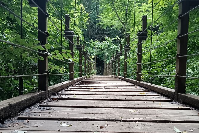 Tokyo: Mt. Takao Tour with Ramen and Tattoo-Okay Hot Spring - Monkey zoo and Wild Grass Garden: nature breaks that don’t feel forced