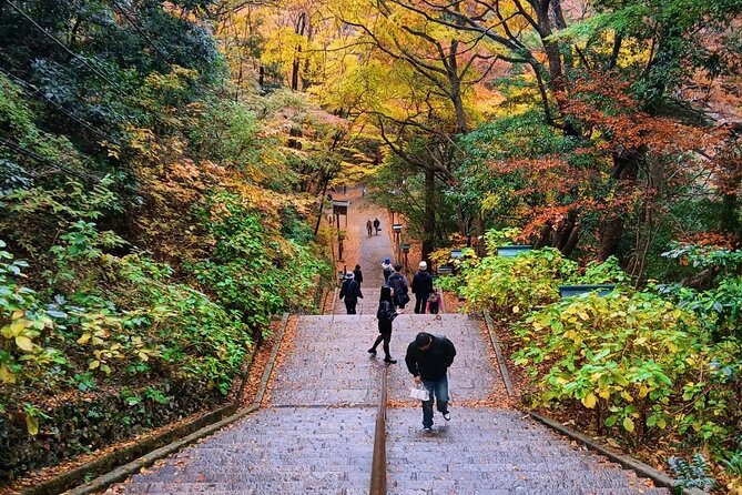 Tokyo: Mt. Takao Tour with Ramen and Tattoo-Okay Hot Spring - Yakuo-in Yuki-ji Temple and the Mt. Fuji viewpoint