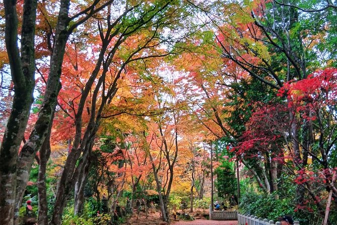 Tokyo: Mt. Takao Tour with Ramen and Tattoo-Okay Hot Spring - Getting to Takaosanguchi and starting the day smoothly