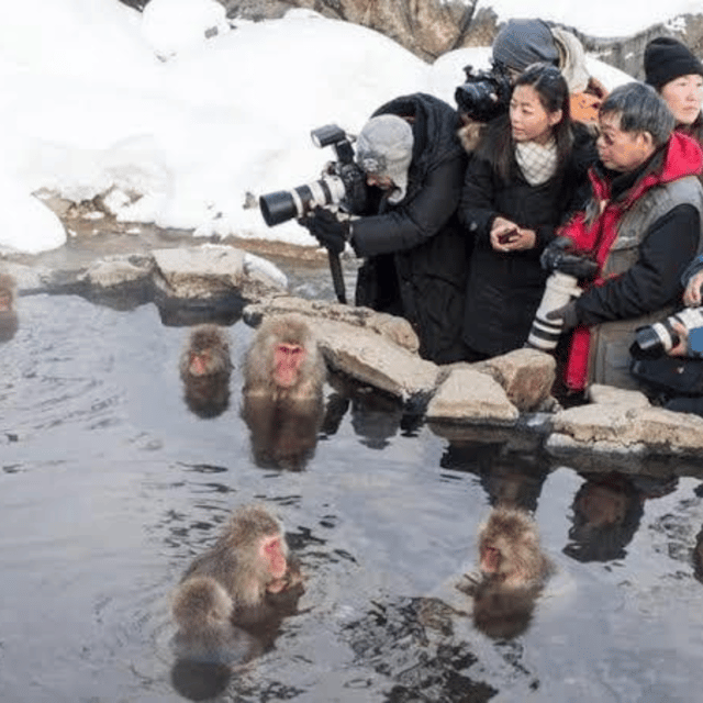 Tokyo: Nagano Snow Monkeys and Zenkoji Tour with Temples - Matsushiro Castle Ruins: a history stop that doesn’t steal the day